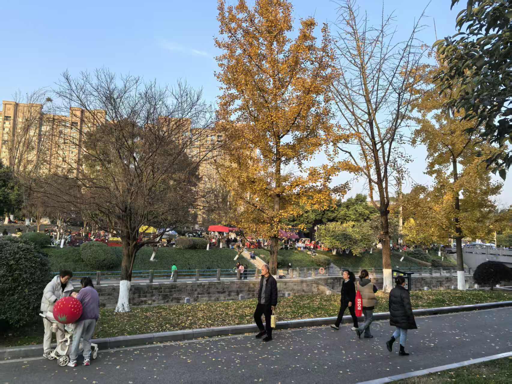 1765164936334986.jpg 1765164936334986.jpg