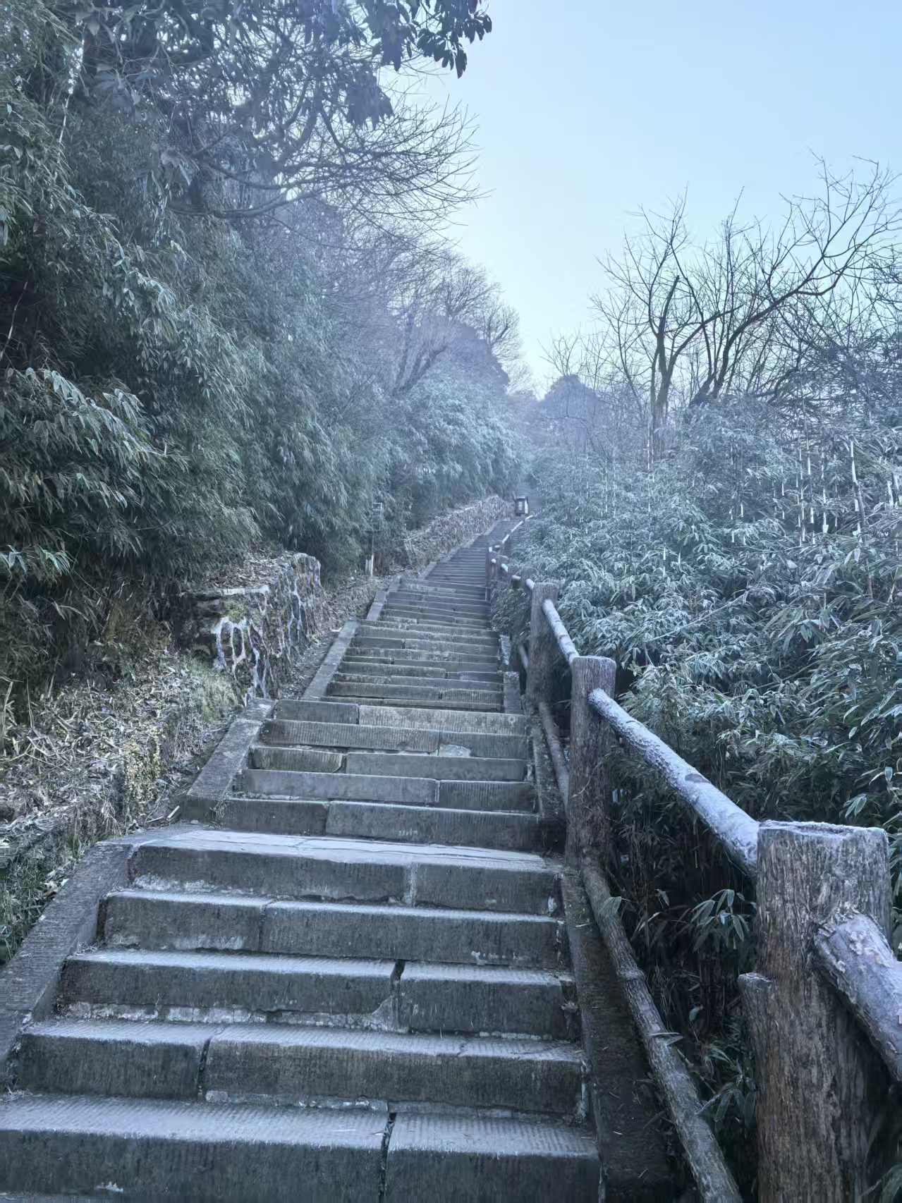 1766973810882789.jpg 1766973810882789.jpg