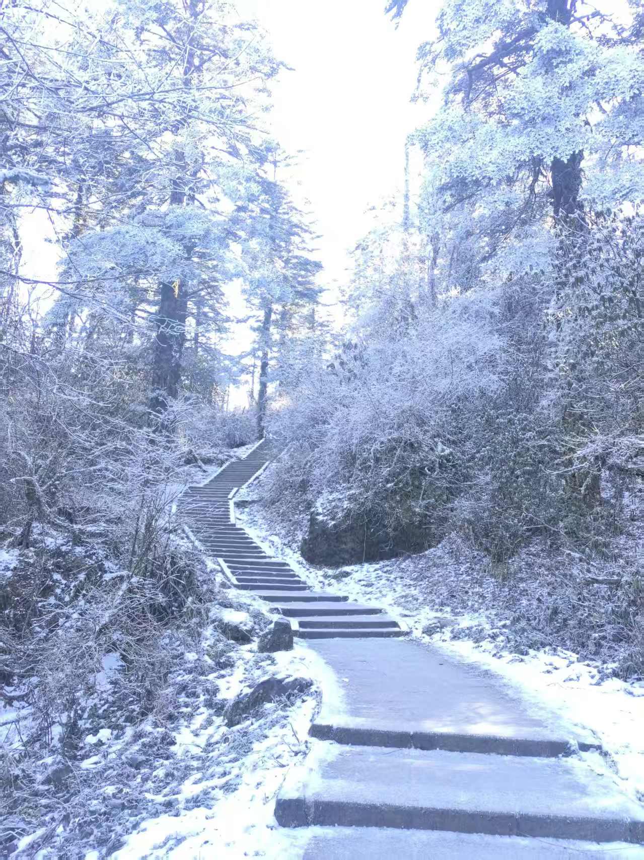 1766973827537449.jpg 1766973827537449.jpg