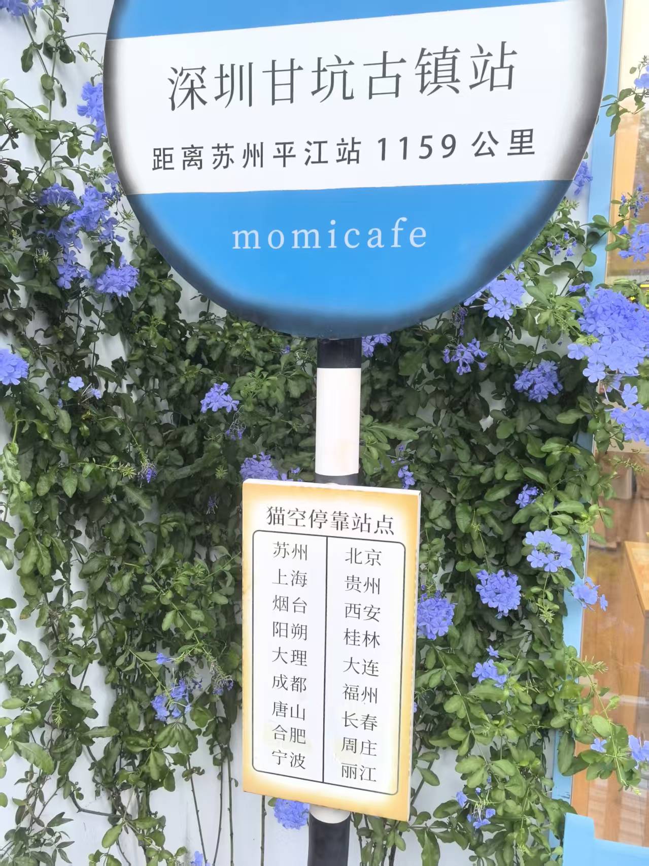 1767148474305510.jpg 1767148474305510.jpg