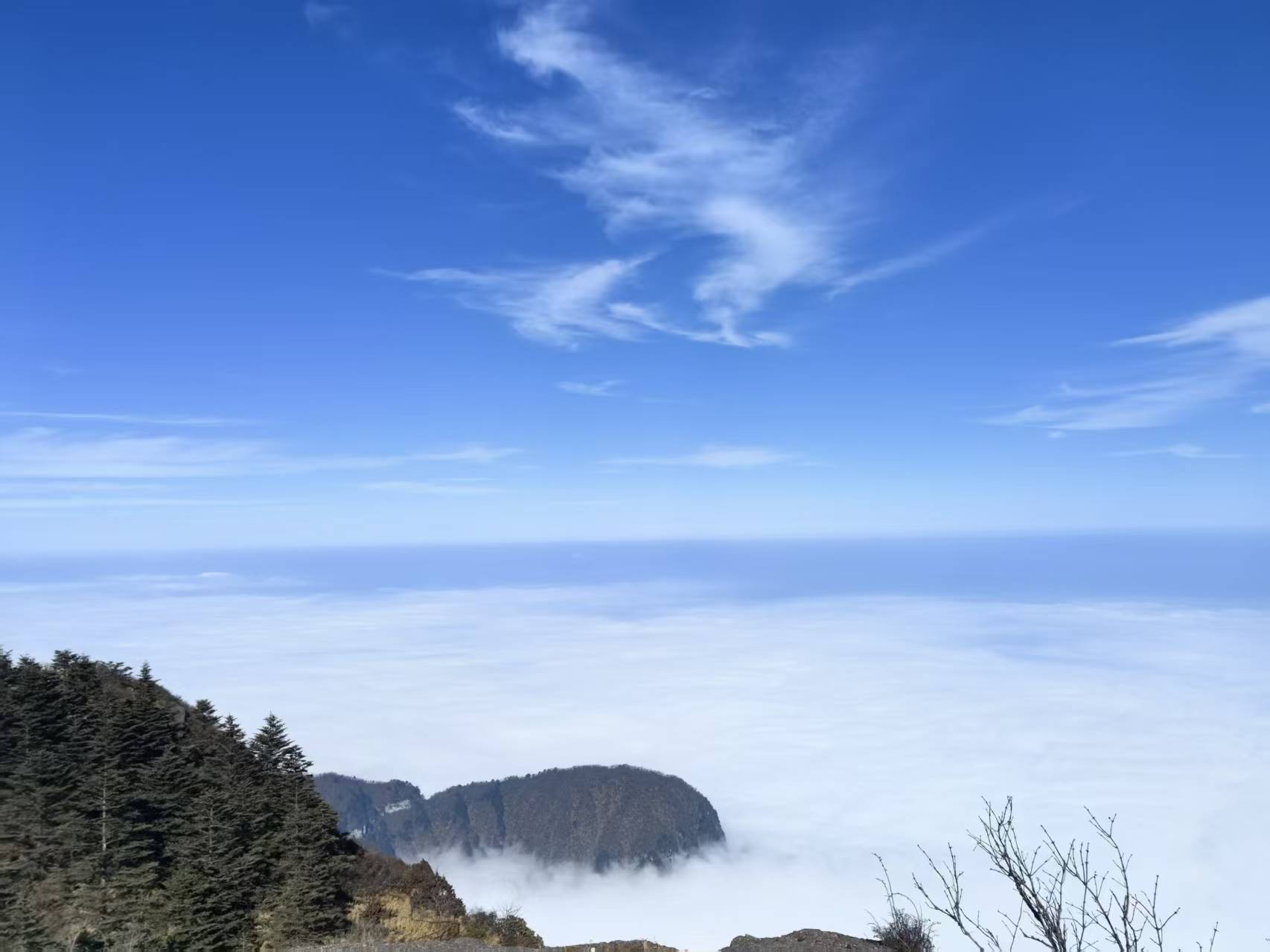 1767149616700965.jpg 1767149616700965.jpg