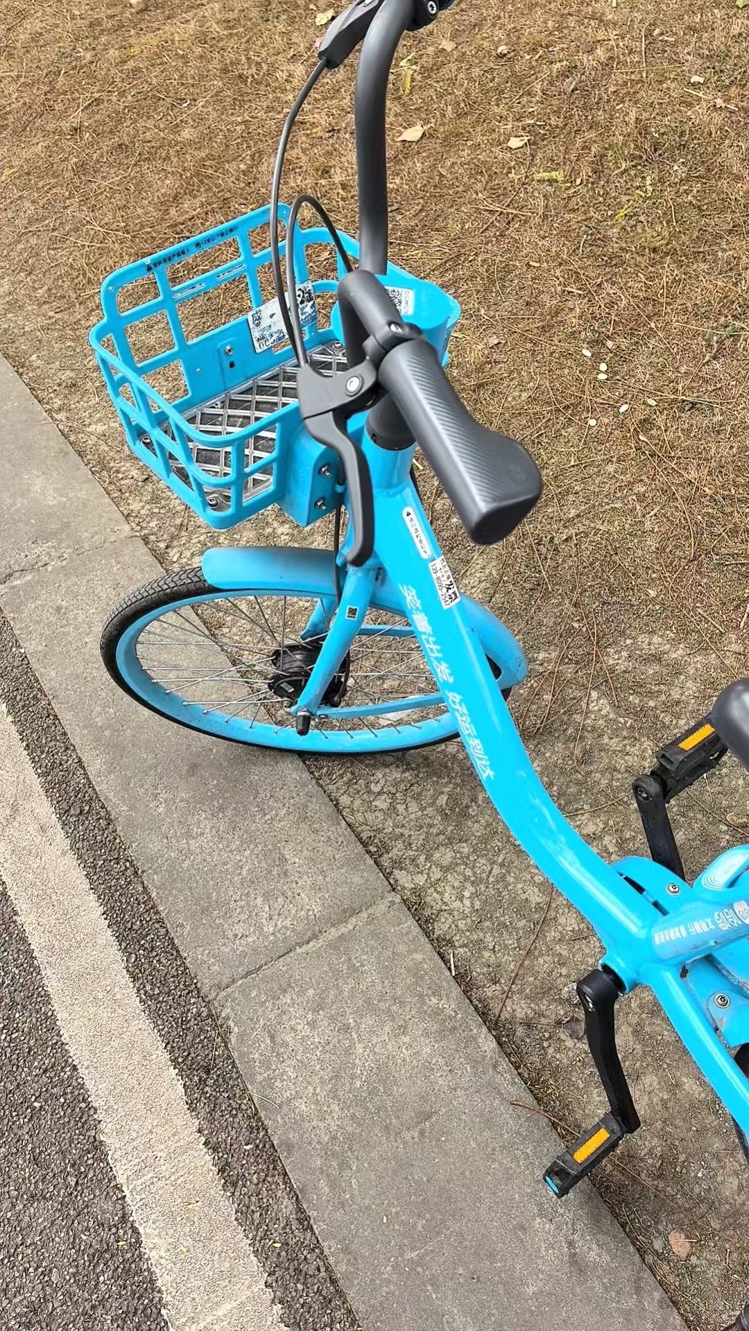 1771908328768406.jpg 1771908328768406.jpg