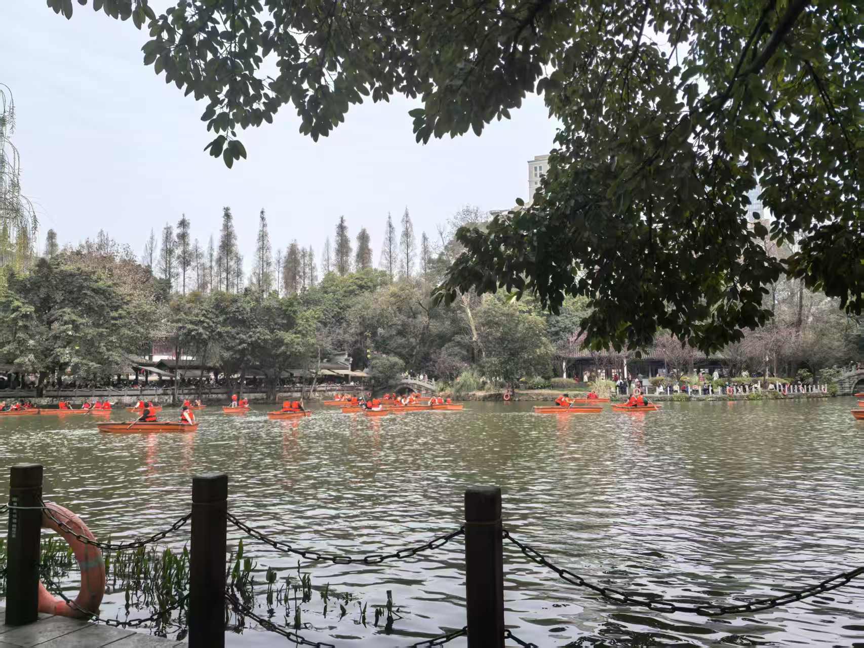 1771909795734070.jpg 1771909795734070.jpg