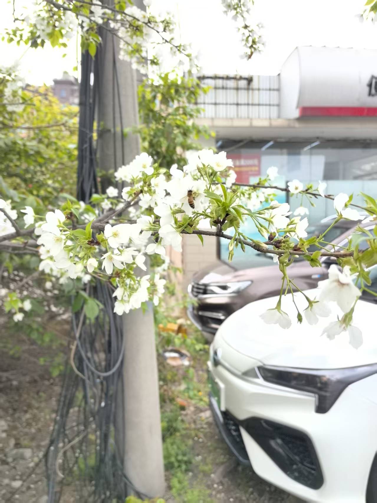 1773627993799032.jpg 1773627993799032.jpg